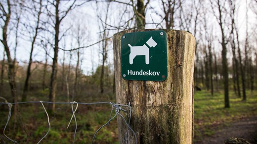 252243_hundeskov